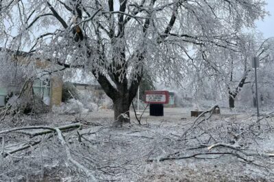 Broken trees in front of a house during the April 2025, ice storm in Ontario